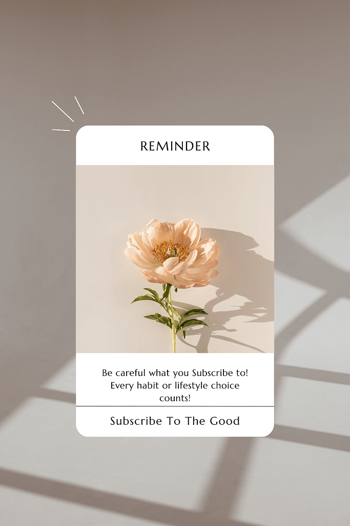 What Are You Subscribed To? Choosing The Right Habits For Success 2 Planning Pinterest Pin.zip 5