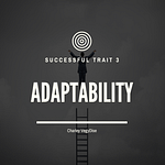 Enable The Power Of Adaptability: A Key Trait Of Millionaires Success And How To Cultivate It | The 3Rd Key To Success 2 Successful Trait 3 2