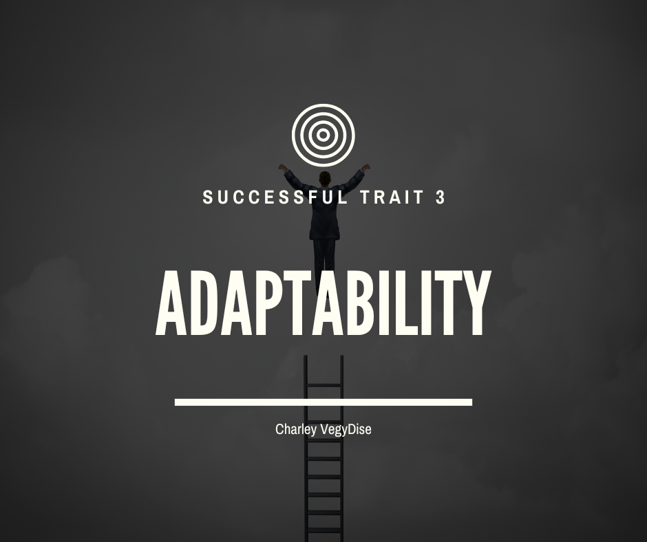 Successful Trait 3 2