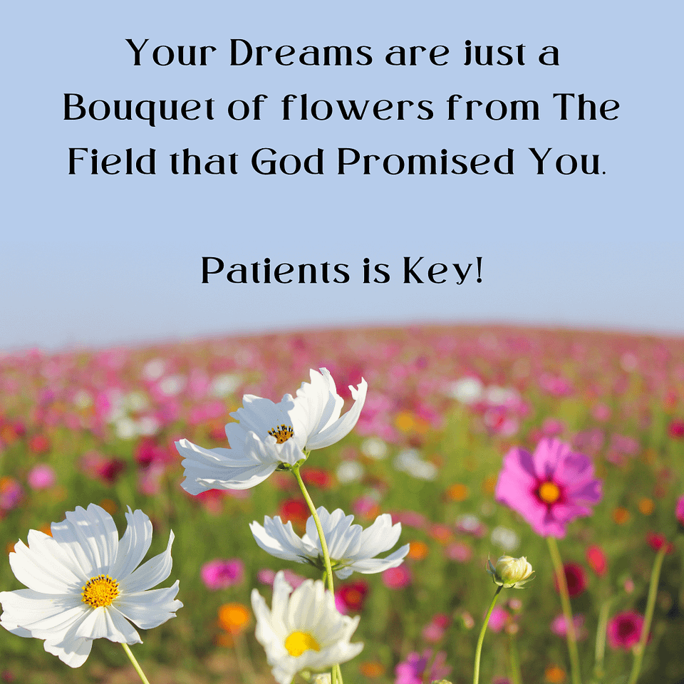 How Long Will It Take You To Achieve Success? 3 Your Dreams Are A Bouquet Of Flowers Compared To The Field That God Has In Store For You